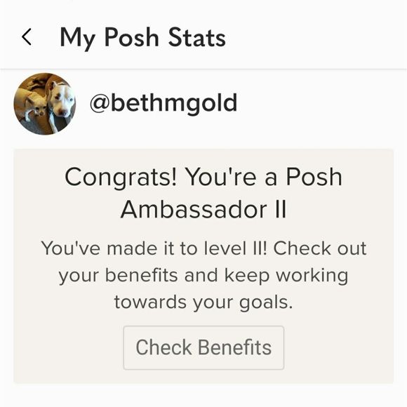 700+ 5 ⭐ Rated Seller - Picture 2 of 3